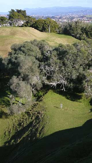 Disc Golf New Zealand